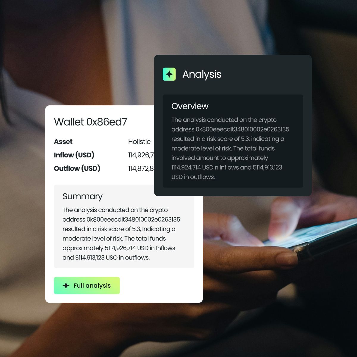 Wallet information displaying asset details, inflow, and outflow values along with an analysis summary on a digital platform.