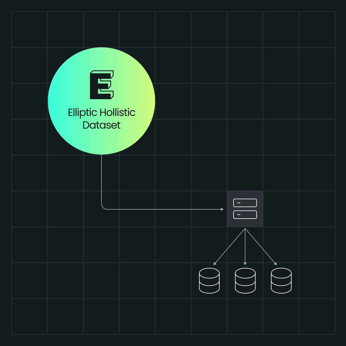 Colorful circular graphic labeled "Elliptic Holistic Dataset" connected by a line to three database icons on a grid background.
