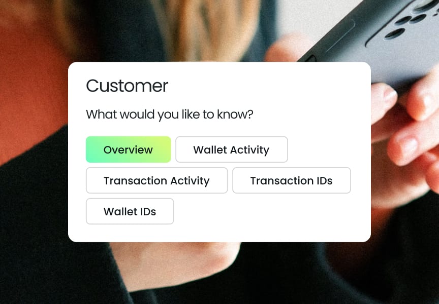 User interface displaying options for customer inquiries, including Overview, Wallet Activity, Transaction Activity, Transaction IDs, and Wallet IDs.